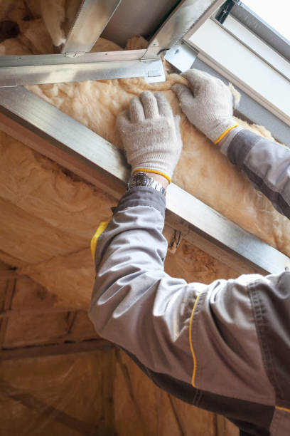 Best Insulation Maintenance and Repair in Churchill, OH